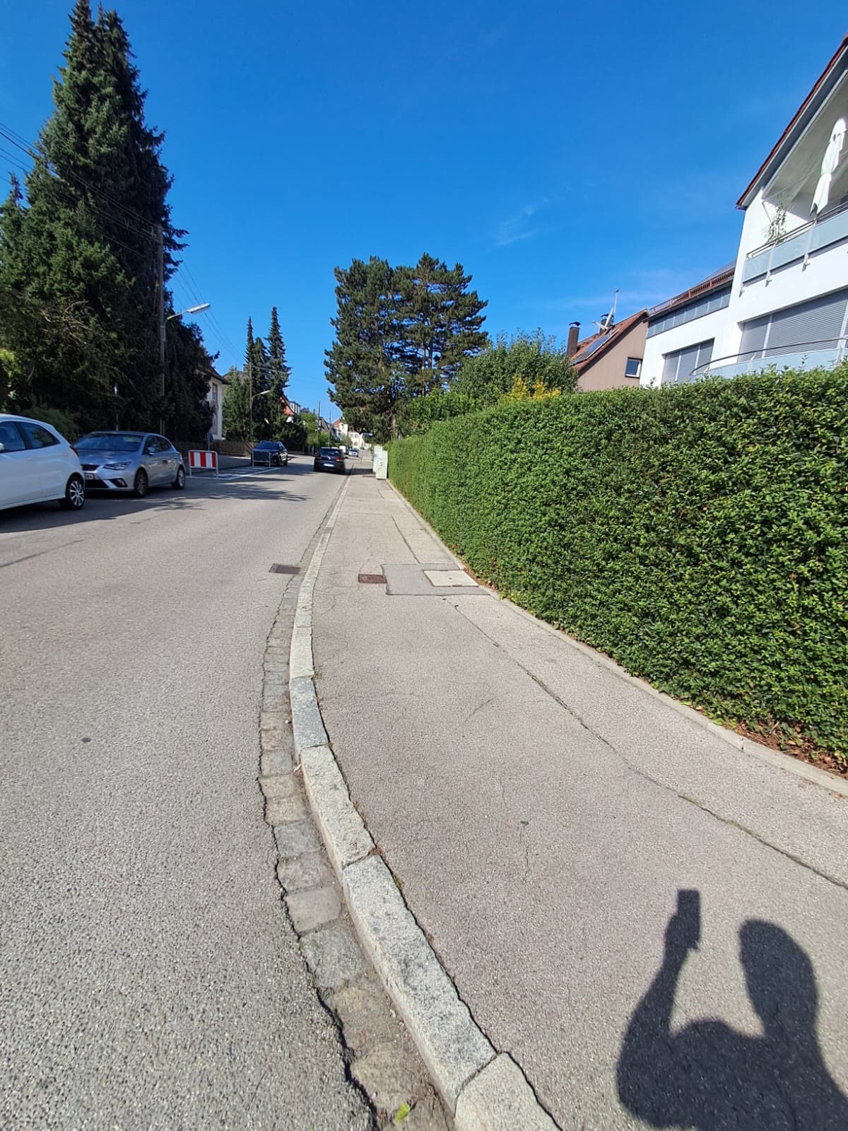 Heckenschnitt an Straße