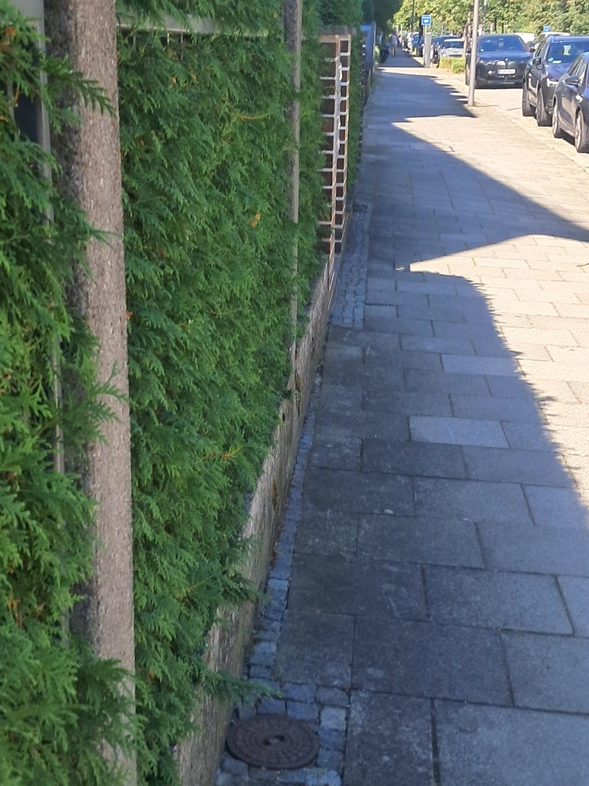 Gepflegter Gehweg mit Hecke