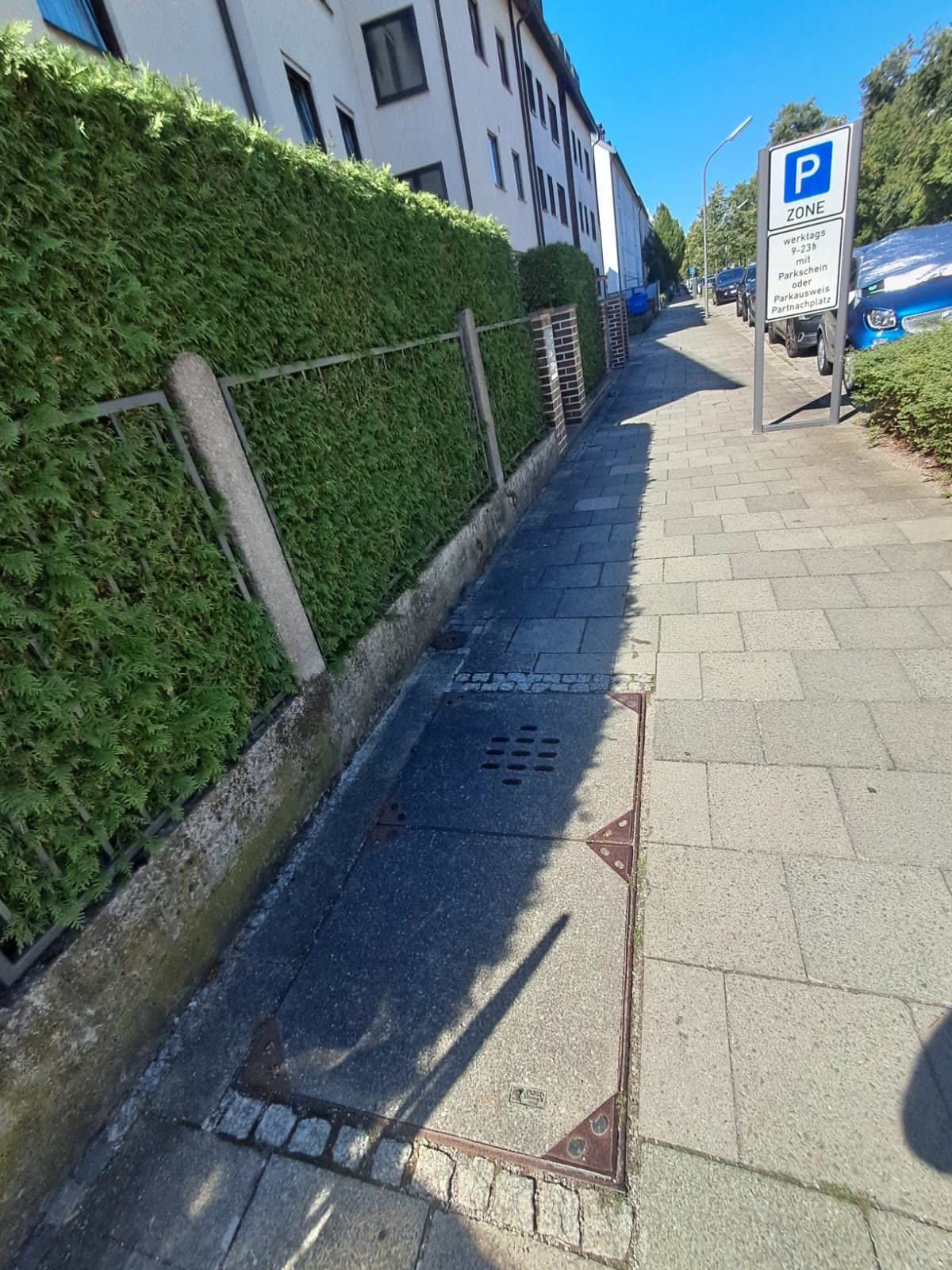 Geschnittene Hecke am Gehweg
